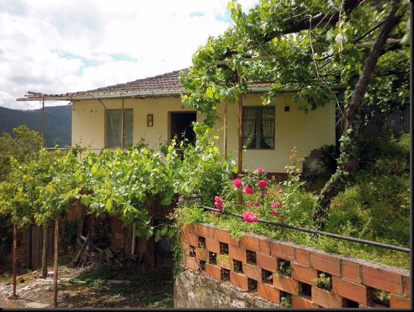 Casa real con jardín, referencia 408